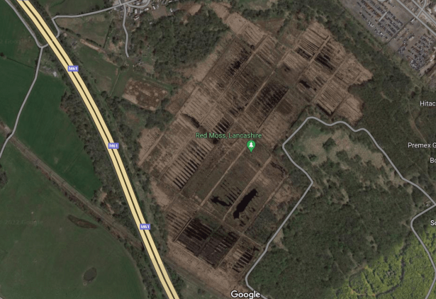 red moss google earth